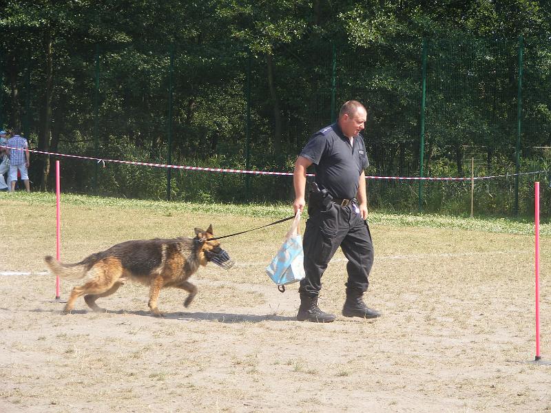 01.07.12r. FESTYN 110
